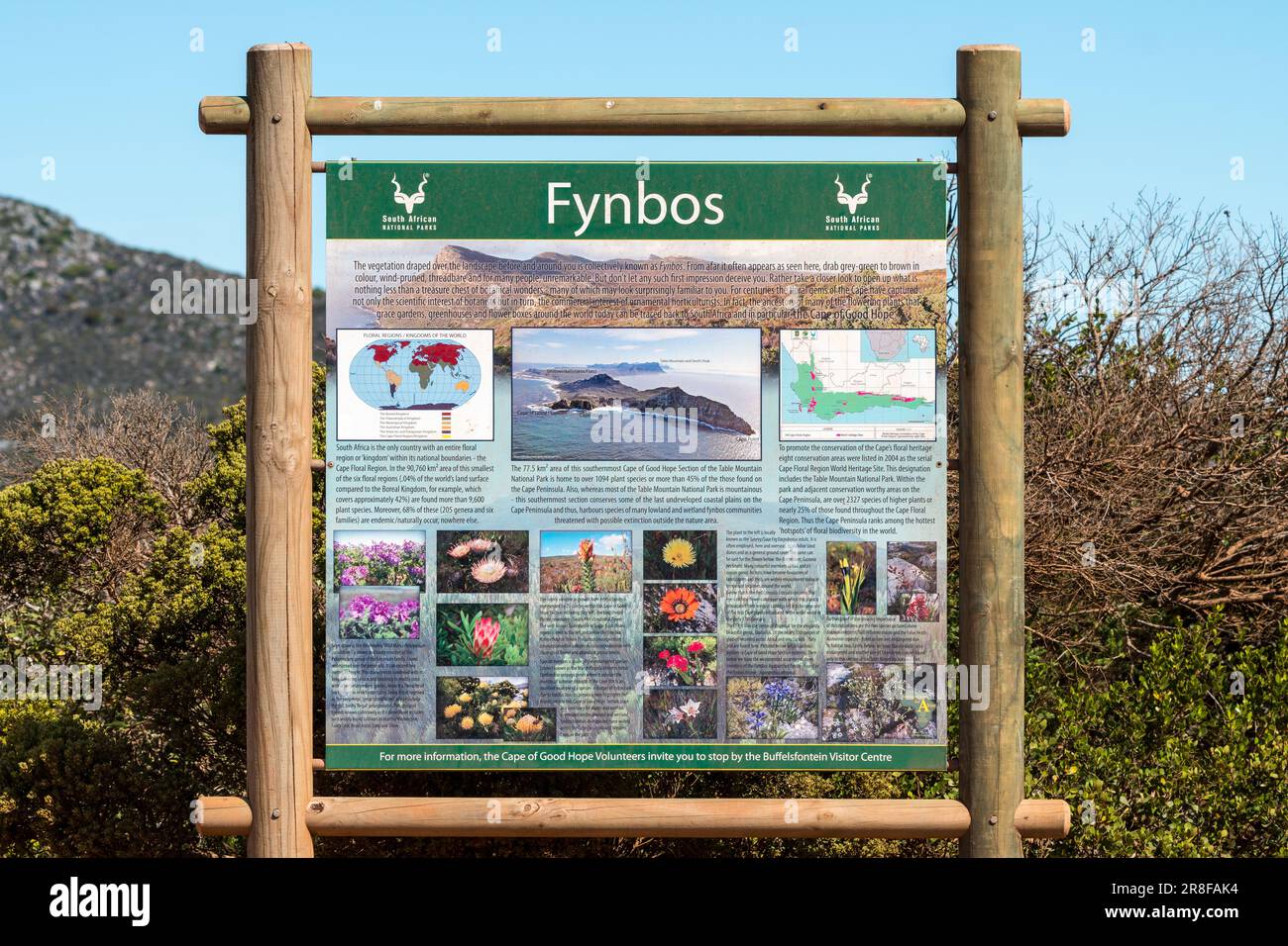 Fynbos Information Sanparks Informationsschild oder Beschilderung im Kap der Guten Hoffnung Naturschutzgebiet oder Cape Point in Westkap, Südafrika, Nahaufnahme Stockfoto