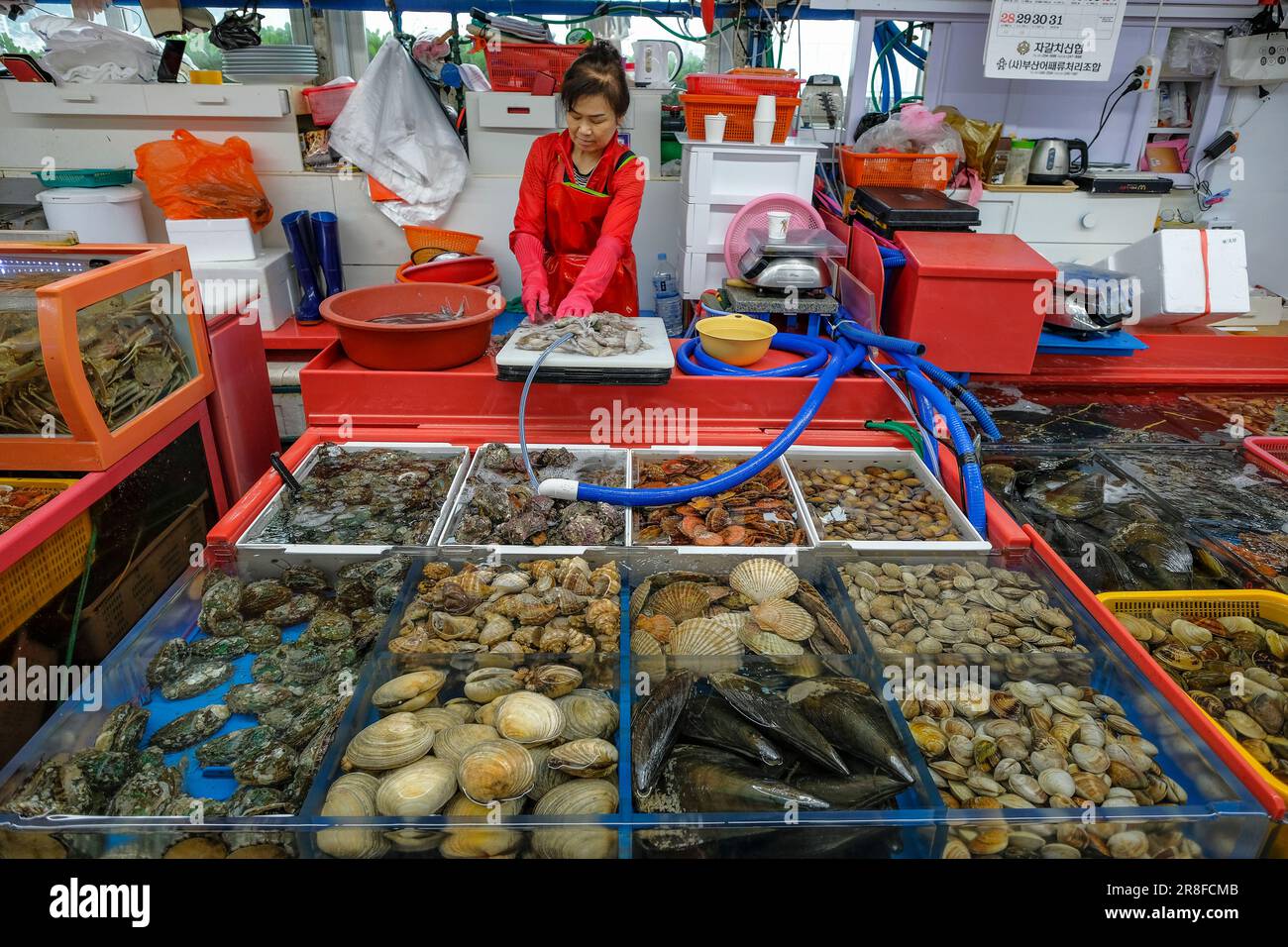 Busan, Südkorea - 28. Mai 2023: Eine Frau, die auf dem Jagalchi-Markt ...