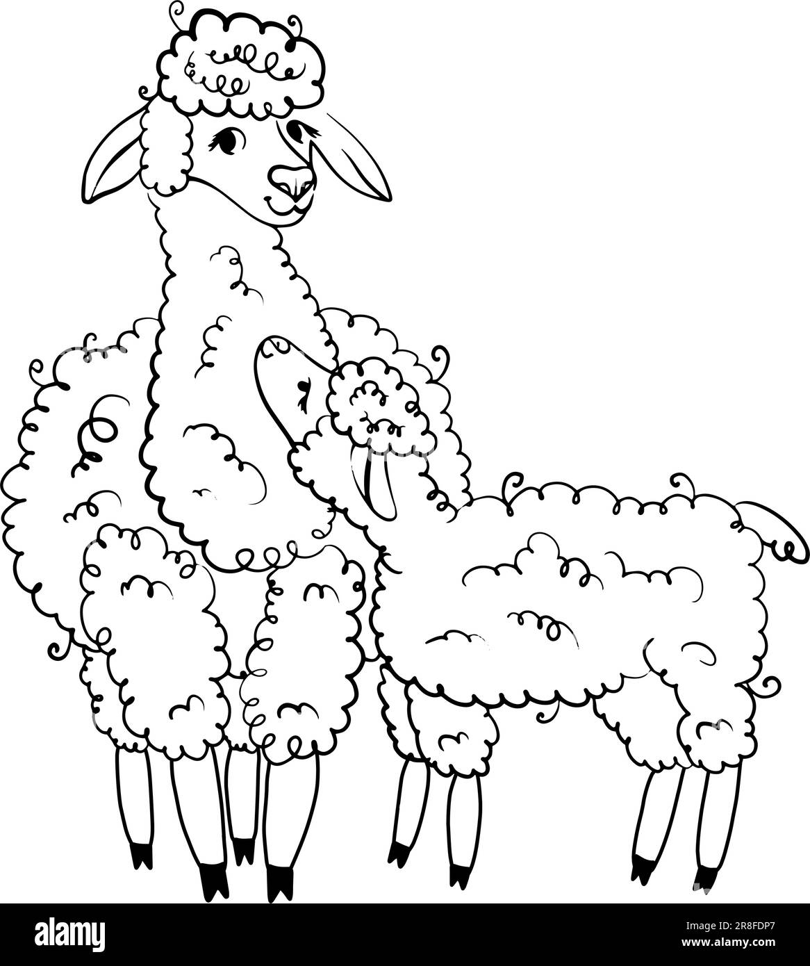 Realistische Skizze von LAMA Alpaca, Schwarz-Weiß-Zeichnung, isoliert auf Weiß Stock Vektor