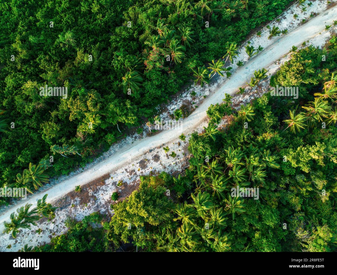 Blick aus der Vogelperspektive auf die tropische Insel, Straße in einem Dschungel, Dominikanische Republik Stockfoto