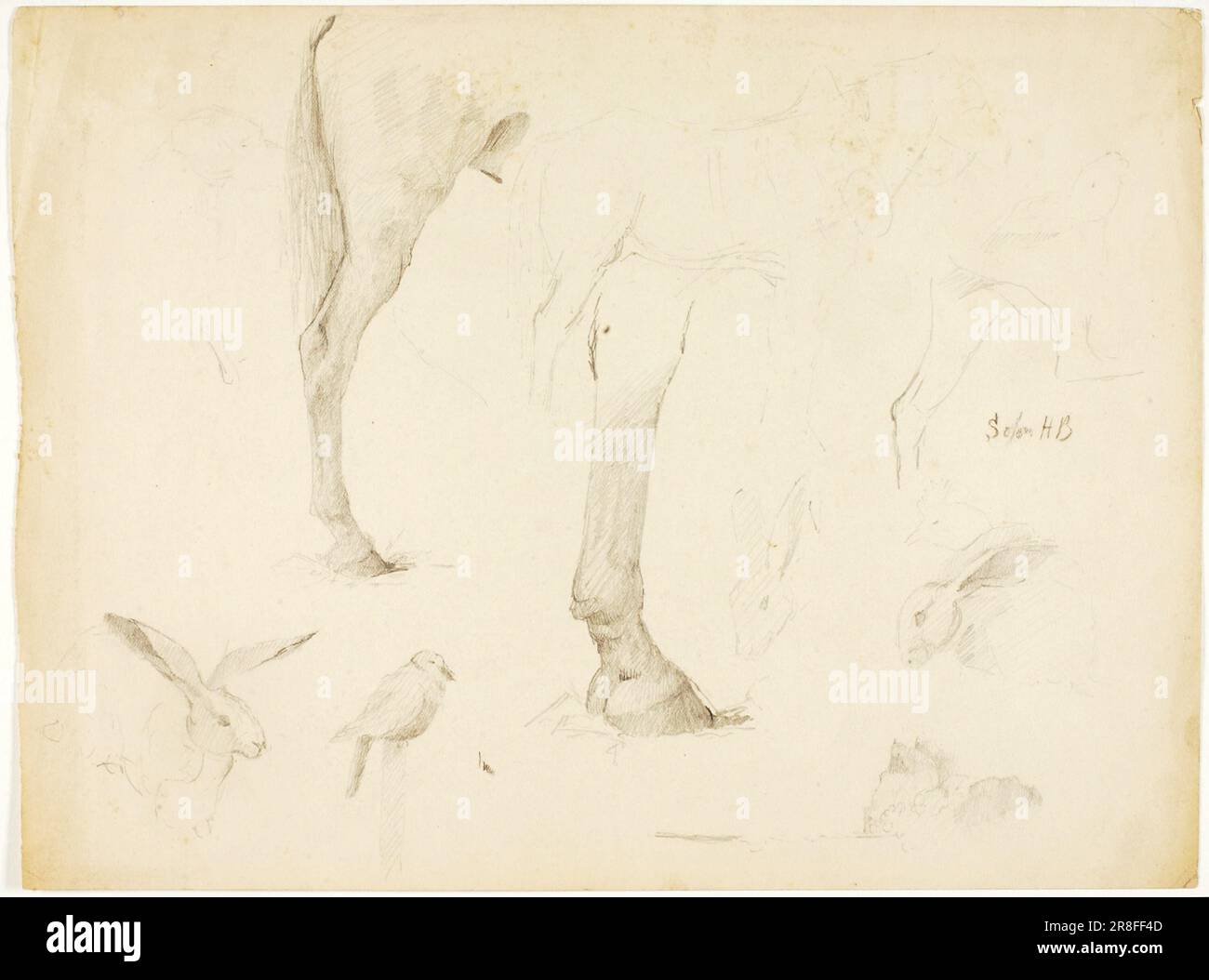 Horse Study and Rabbits n.d. von Solon H. Borglum, geboren in Ogden, UT 1868, gestorben in Stamford, CT 1922 Stockfoto