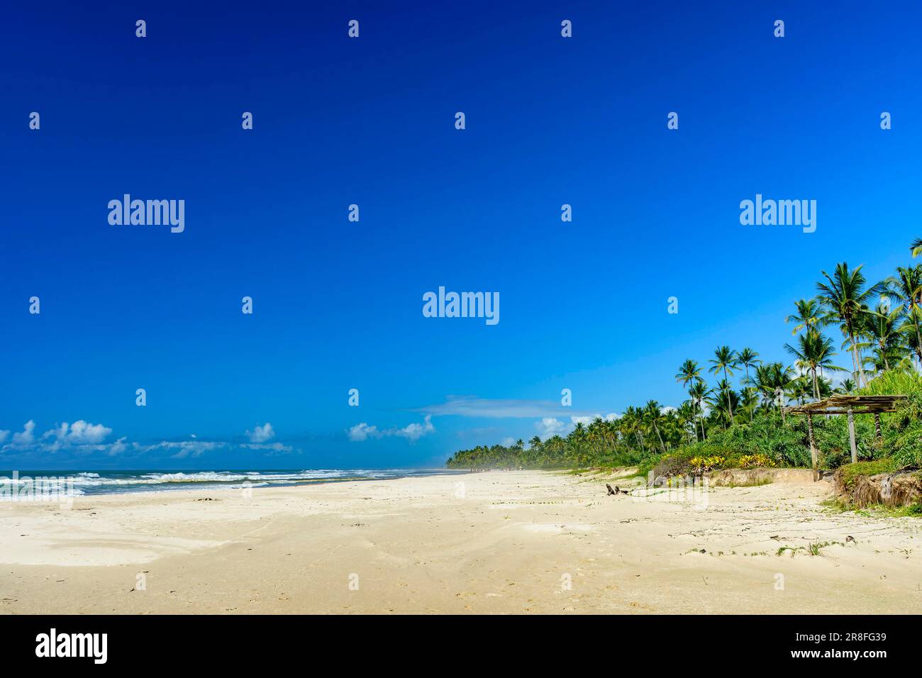 Atemberaubender Sargi-Strand umgeben vom Meer und Kokospalmen in Serra Grande an der Küste von Bahia Stockfoto