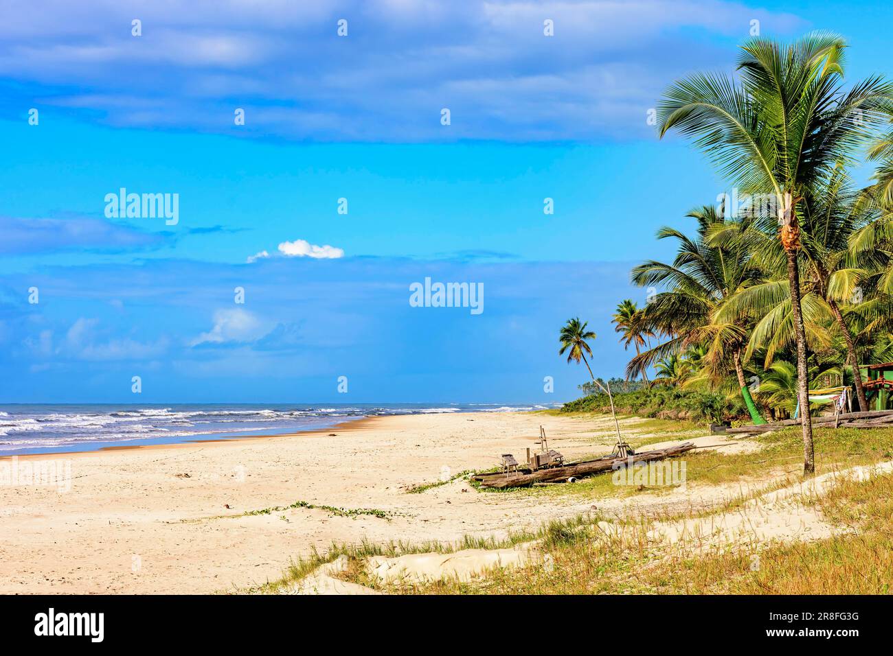 Verlassener Strand, umgeben von Kokospalmen und mit einem rudimentären Schiff, das typisch für den Nordosten Brasiliens ist und in Serra als Floß auf dem Sand bezeichnet wird Stockfoto