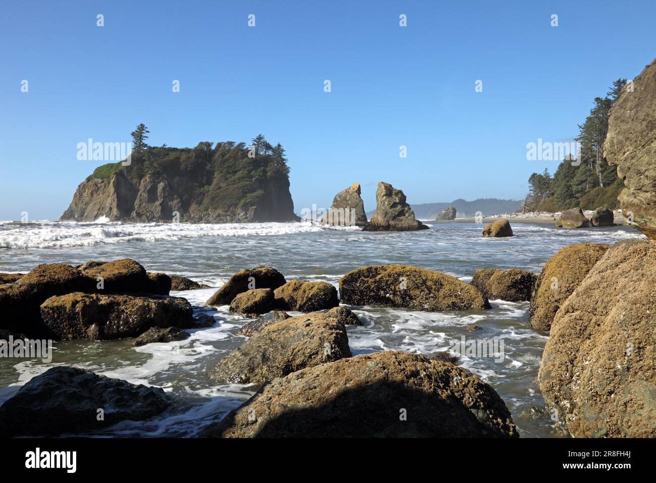 Ruby Beach, Olympic National Park, WA, USA Stockfoto