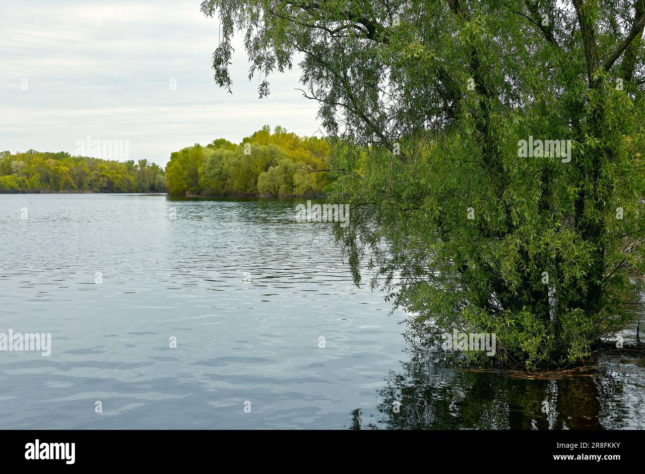 Bild eines großen Flusses mit Bäumen am Ufer Stockfoto