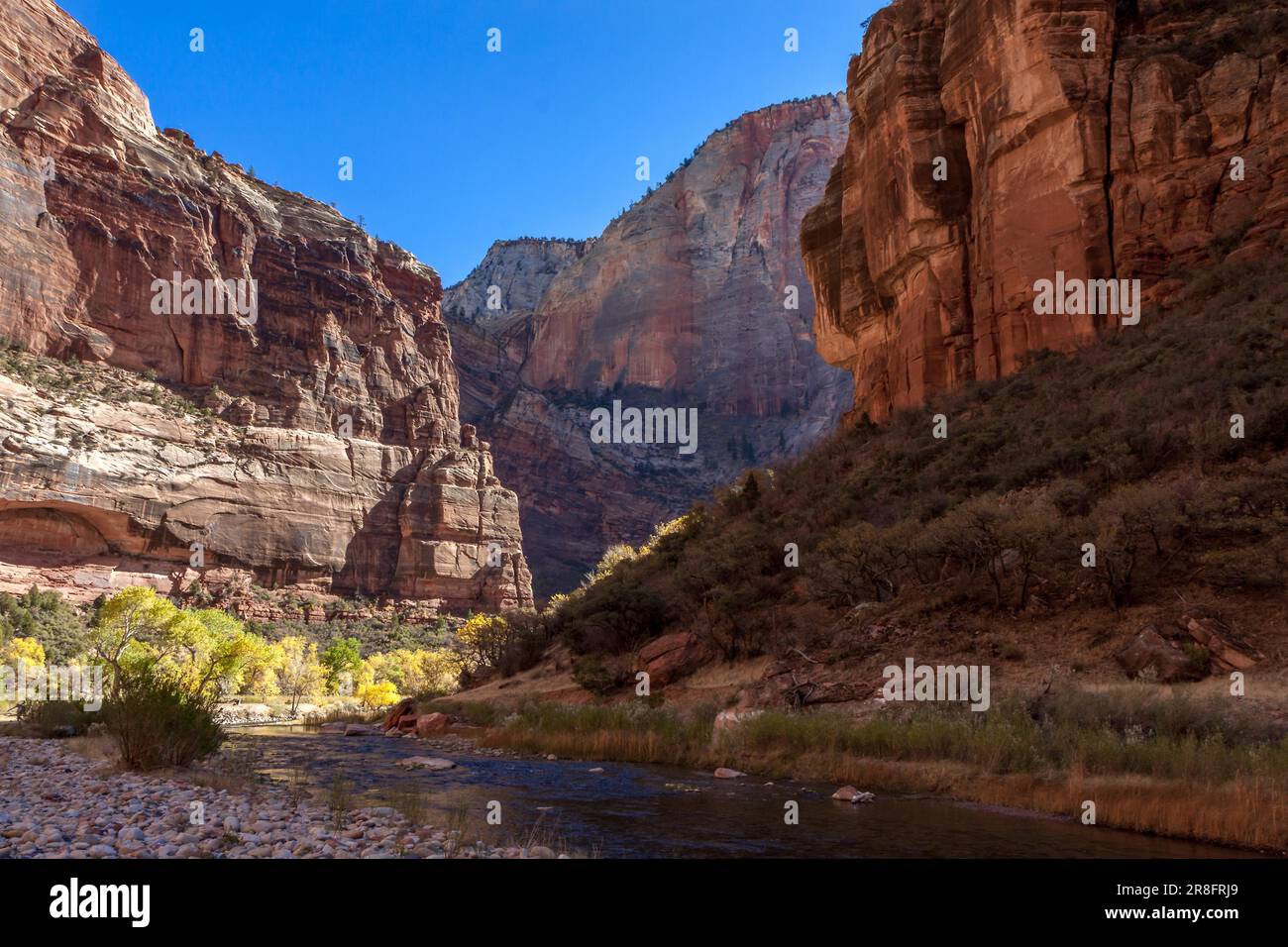 Felsen neben dem Virgin River Stockfoto