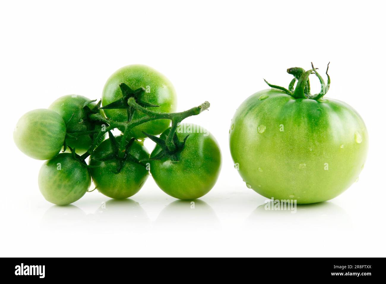 Reife nasse grüne Tomaten, Isolated on White Background Stockfoto