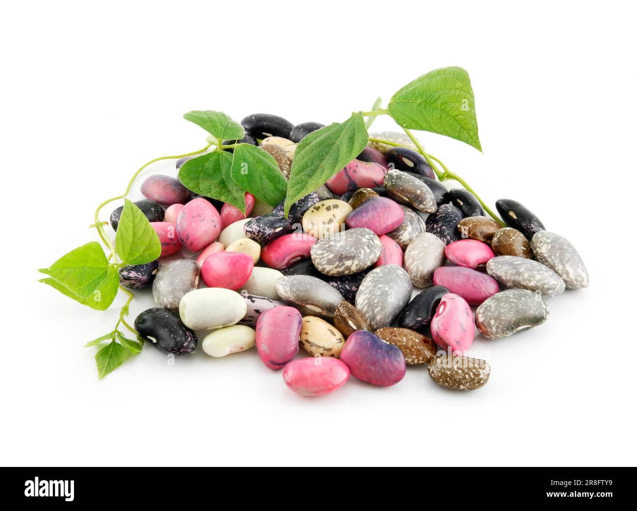 Haufen reifer Haricot-Bohnen mit Samen und Blättern isoliert auf weißem Hintergrund Stockfoto