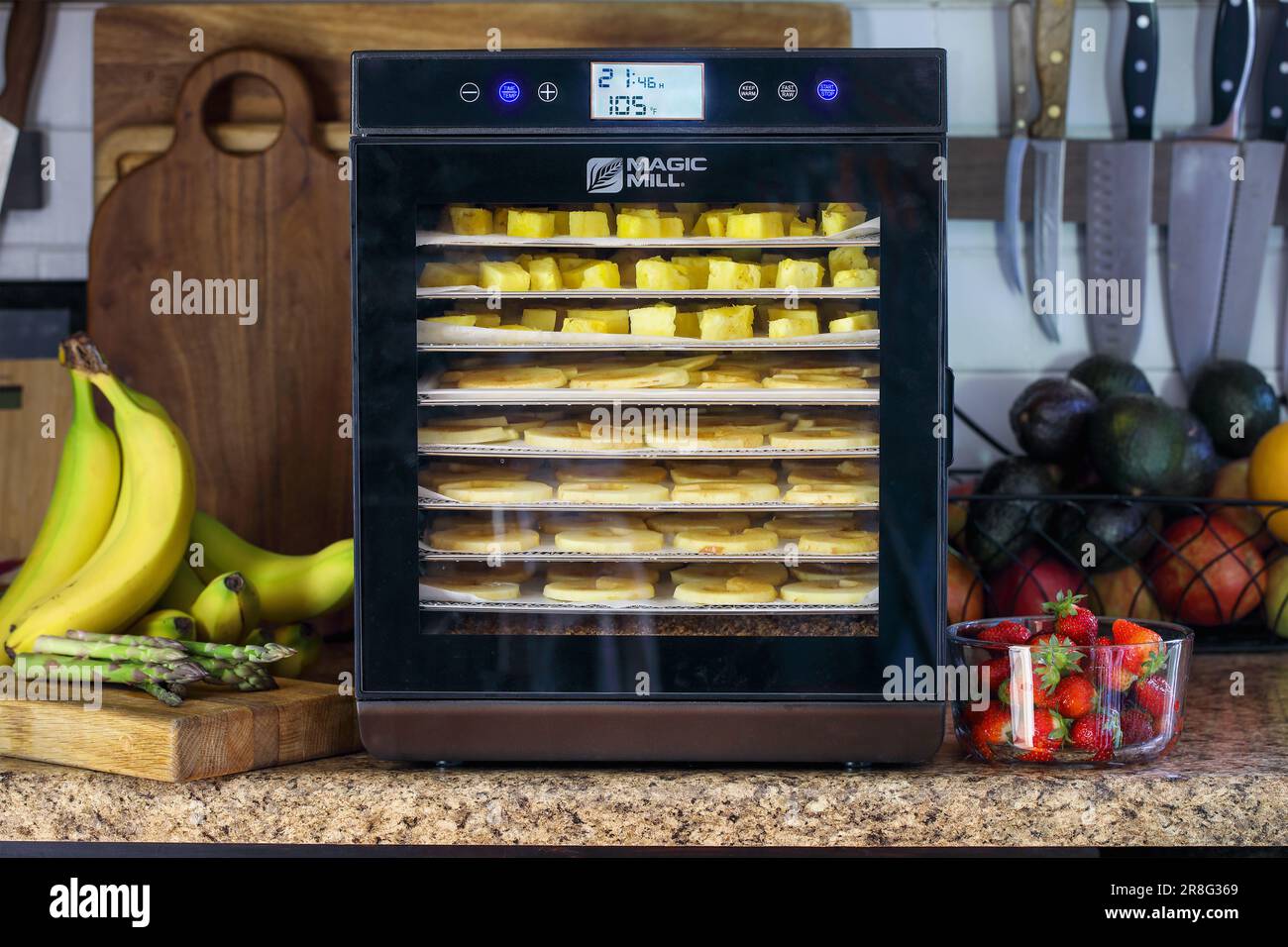 Zucht, KY, USA - 09. Mai 2023: Magic Mill Food Dehydrator auf Küchentheke mit frischer Ananas und Äpfeln, die auf Regalen trocknen. Stockfoto