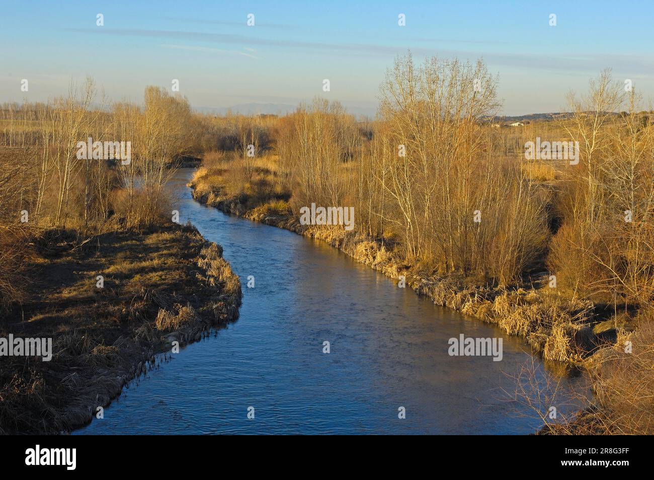Fluss Guadarrama, Castilla-La, in der Nähe des archäologischen Parks Carranque, Toledo, Castilla-La Mancha, Castilla, Spanien Stockfoto