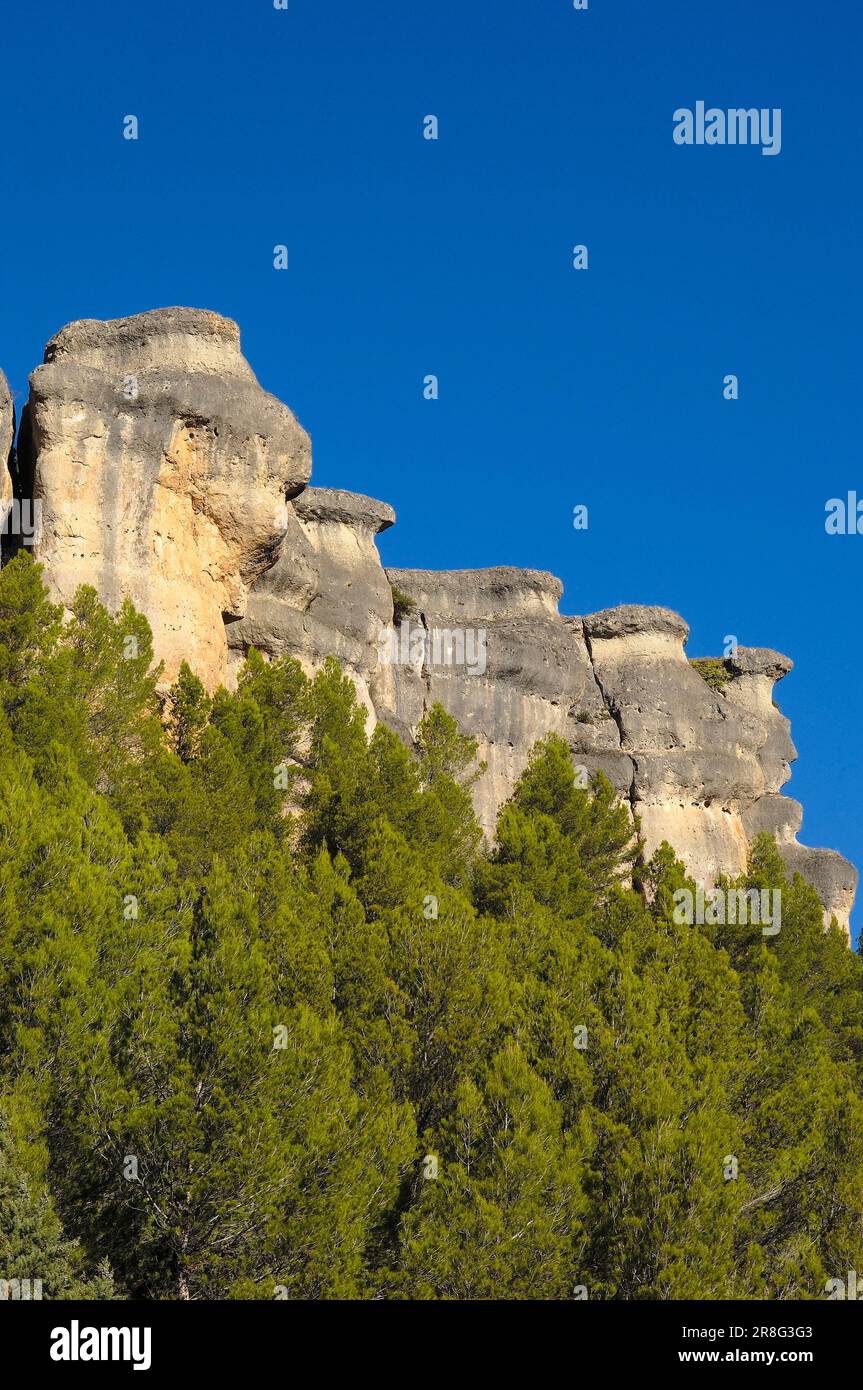 Jucar Gorge, Castilla-La, Jucar Gorge, Cuenca, Castilla-La Mancha, Castilla, Spanien Stockfoto