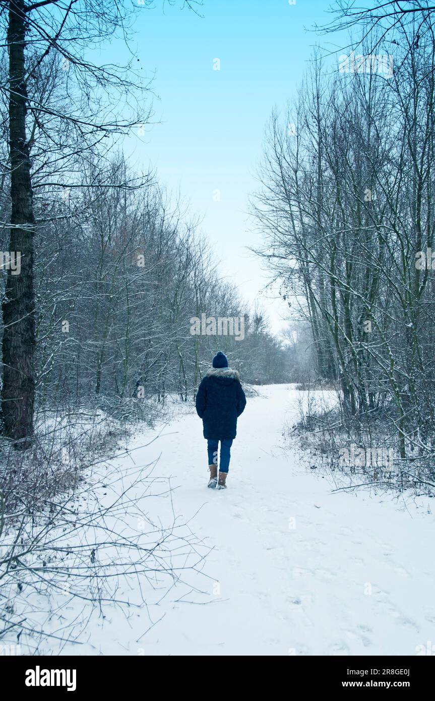 Eine Frau mit Strickmütze und Mantel, die auf einem Pfad spaziert, bedeckt von Schnee, Winterwald Stockfoto