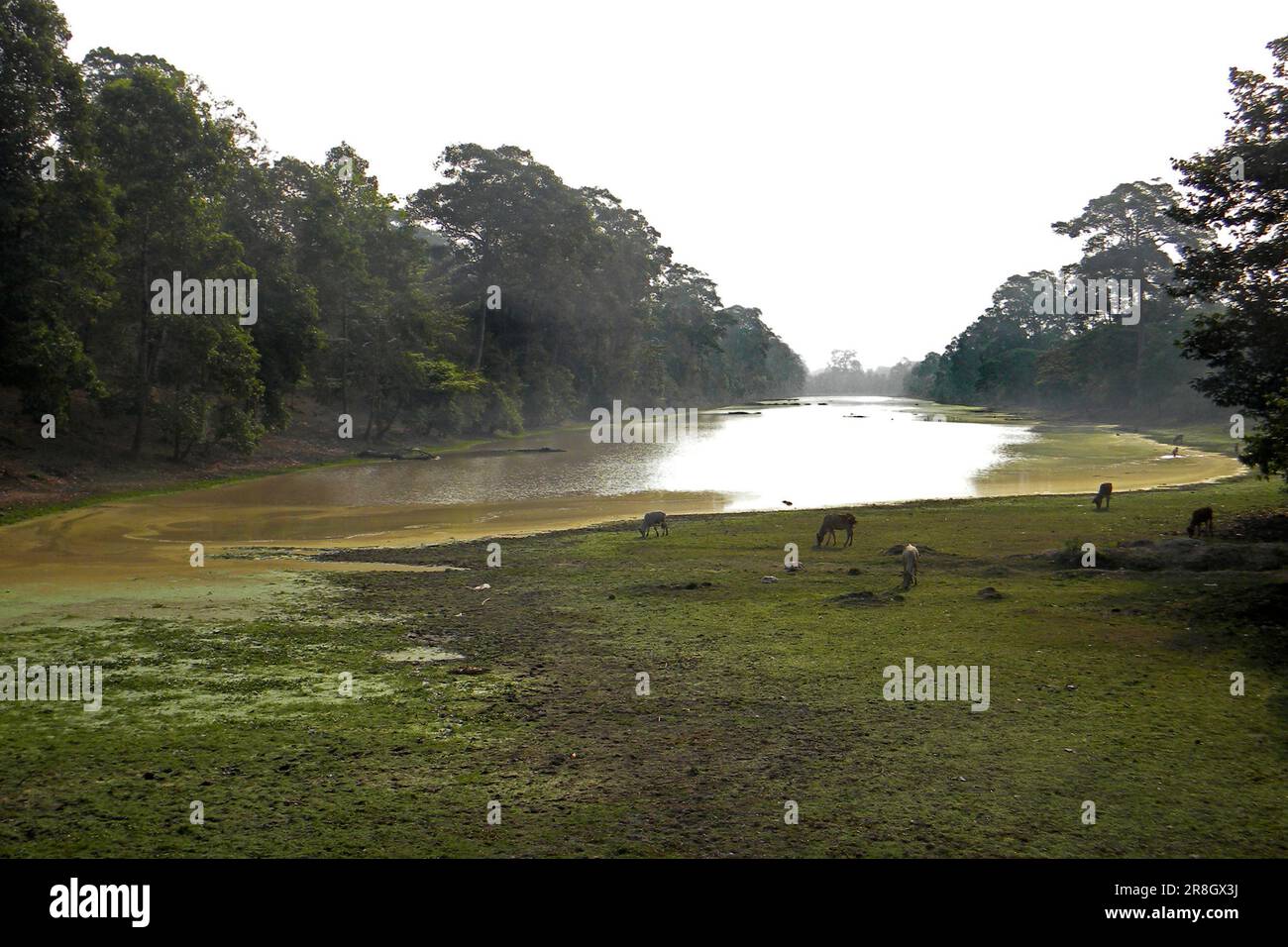 Landschaft In Der Nähe Von Hanoi, Vietnam Stockfoto