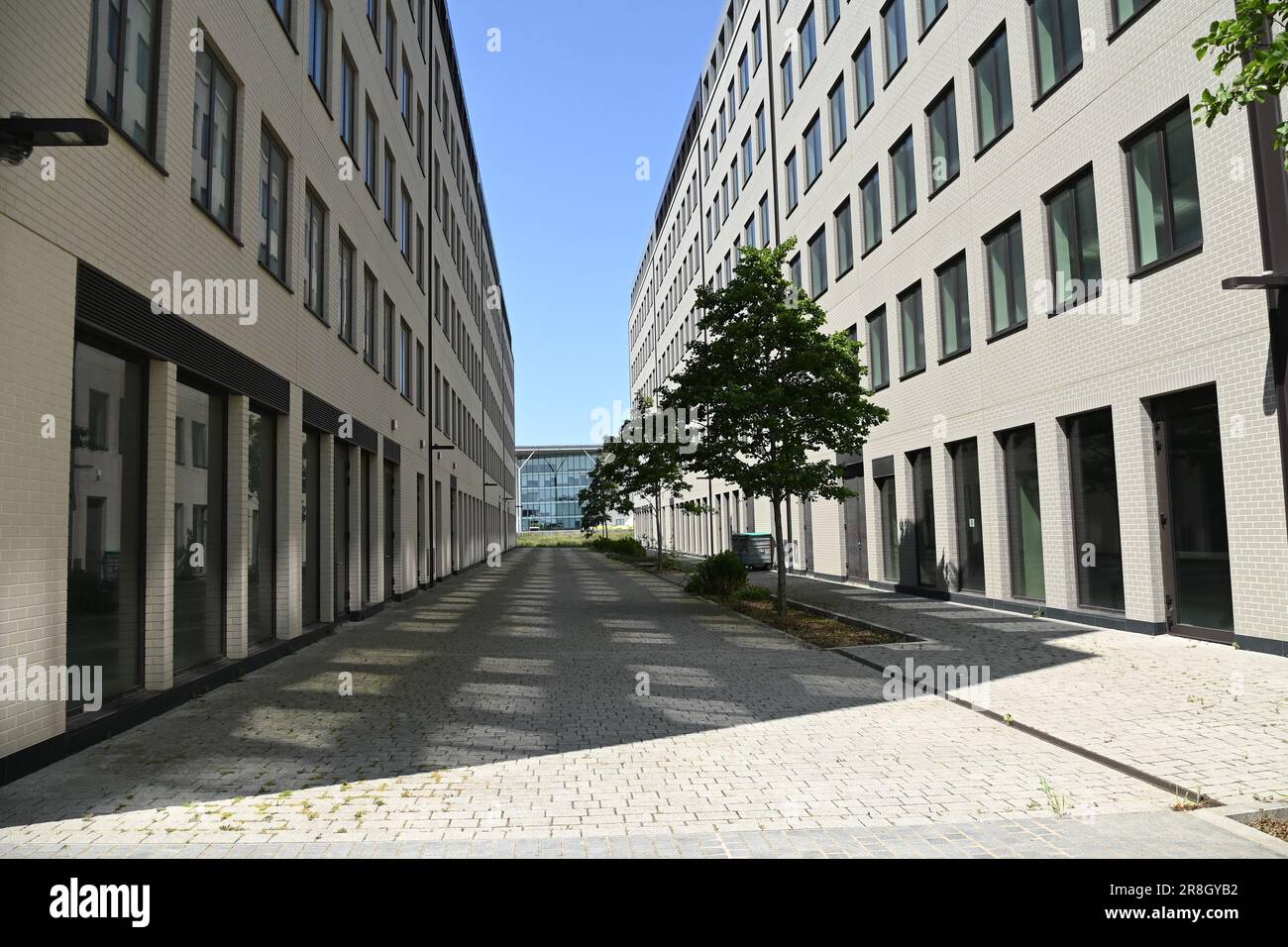 Royal Albert Quay Development Commercial District, London Stockfoto