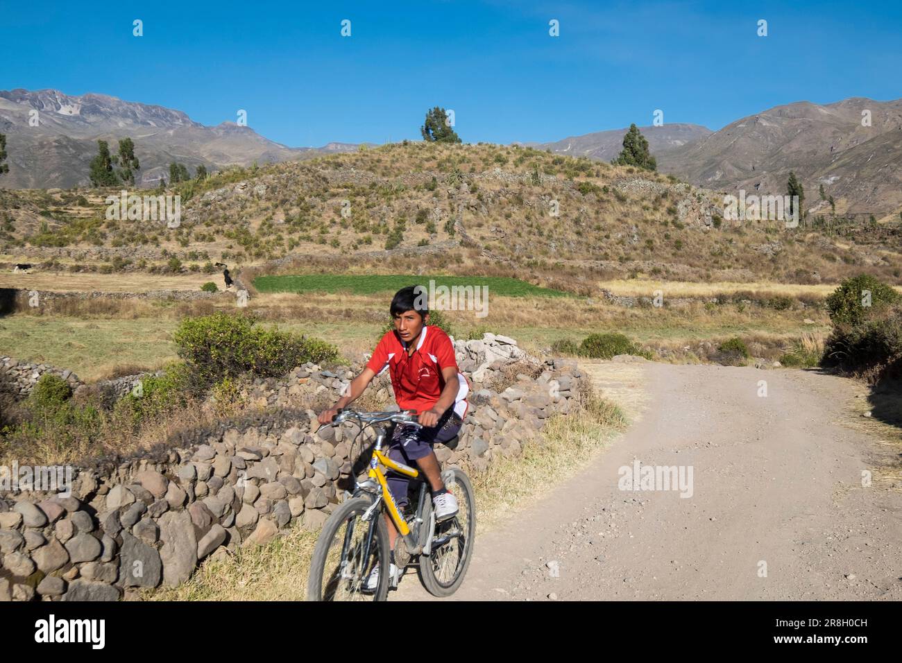 Perù. Colca-Tal. Querformat Stockfoto