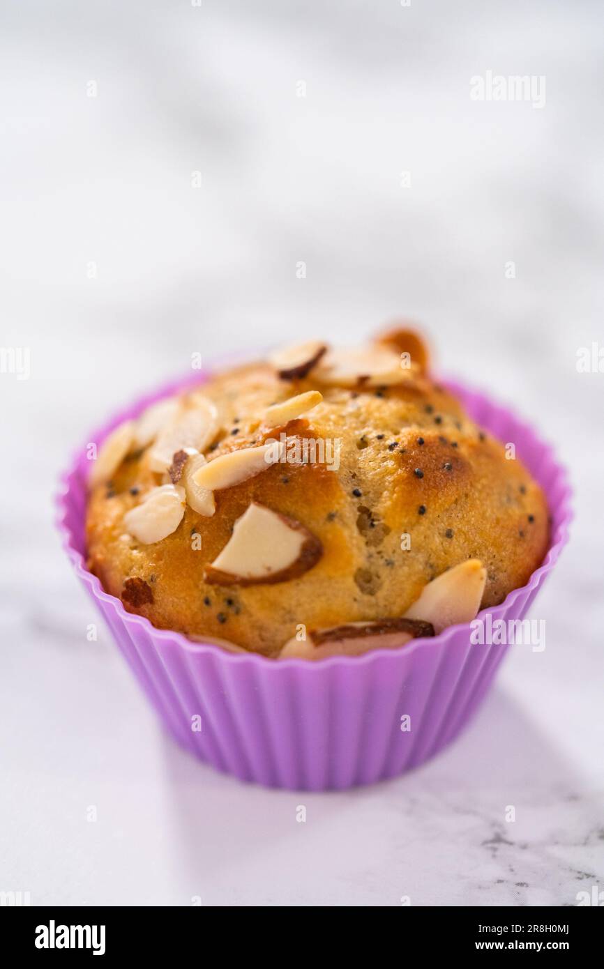 Muffins aus Zitronenmohn, garniert mit Mandelsplittern Stockfoto