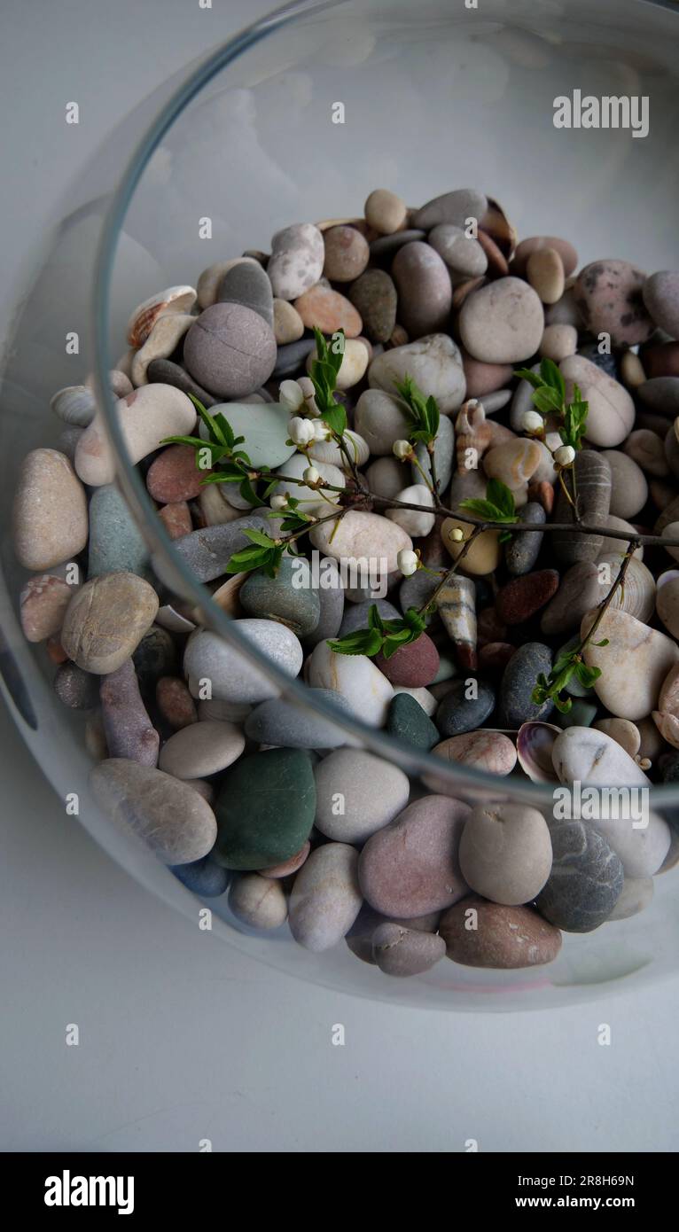 Ungeöffnete Blumen auf einem gerissenen Zweig in einer geschlossenen Glaskugel mit Steinen als Symbol des Umweltschutzes Stockfoto