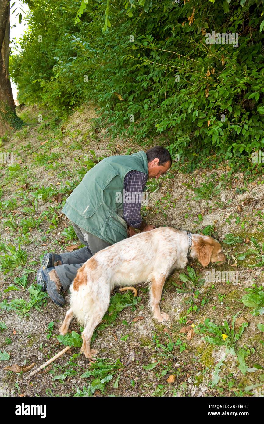 Universität der Trüffelhunde. Roddi. Piemont. Italien Stockfoto