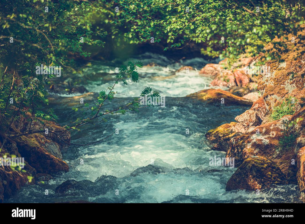 Landschaftlich reizvoller Rocky Mountain Stream in geringer Feldtiefe. Quelle des Süßwassers. Stockfoto