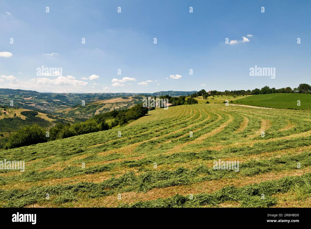 Parco Regionale Dei Sassi di Roccamalatina. Emilia Romagna. Italien Stockfoto