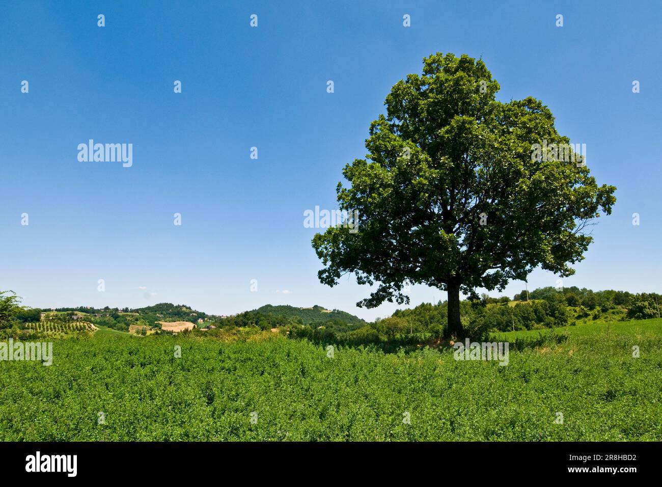 Parco Regionale Dei Sassi di Roccamalatina. Emilia Romagna. Italien Stockfoto