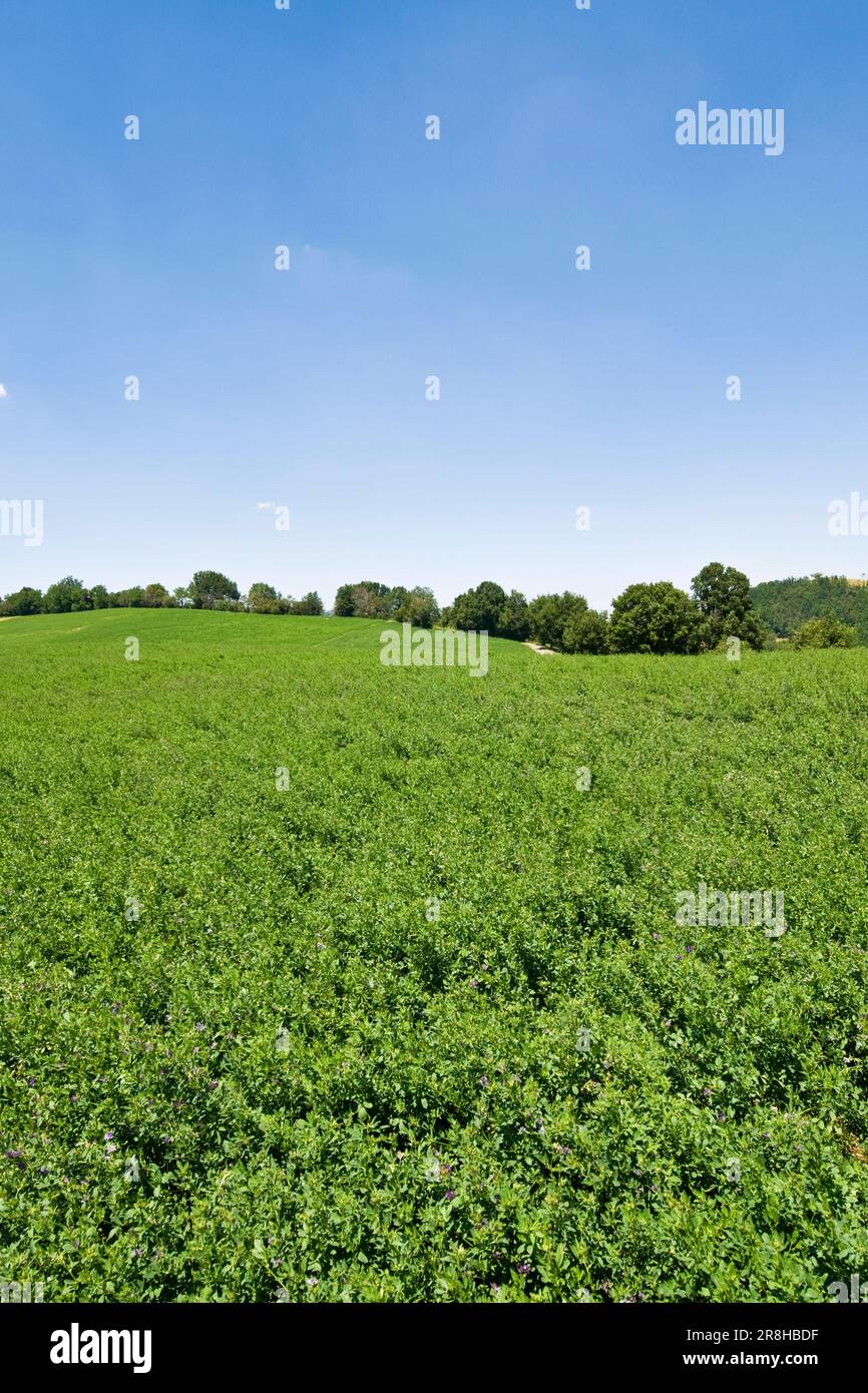 Parco Regionale Dei Sassi di Roccamalatina. Emilia Romagna. Italien Stockfoto