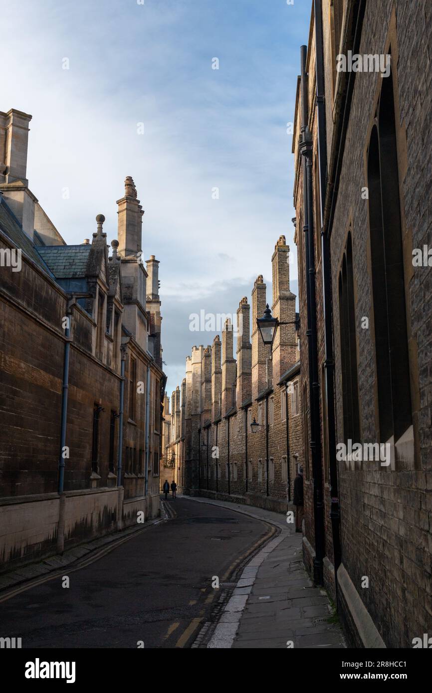 Die Trinity Lane in Cambridge, Großbritannien, ist berühmt für ihre ungewöhnlichen Schornsteine. Stockfoto