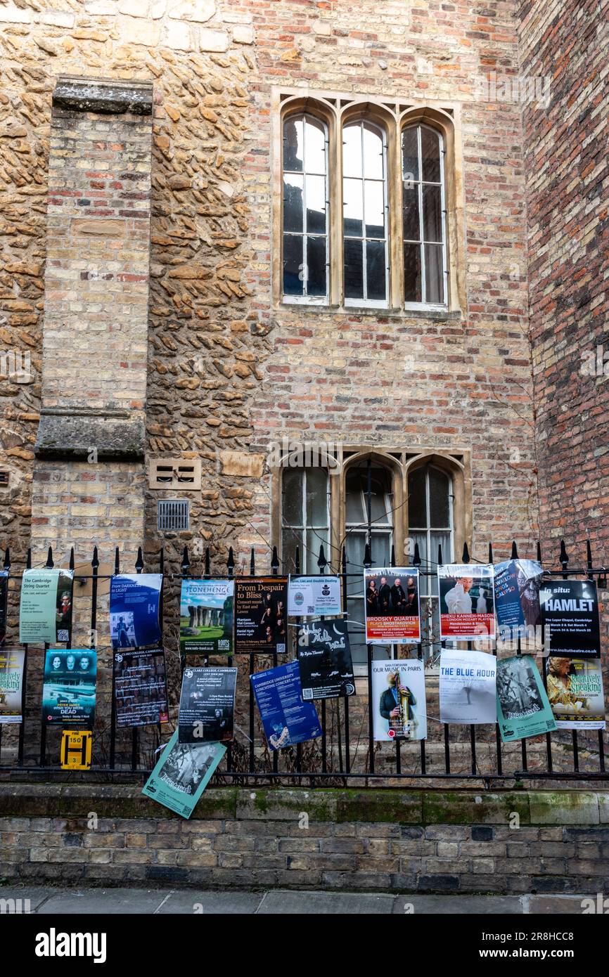 Auf der Trinity Lane in Cambridge, Großbritannien, befinden sich Plakate, auf denen Theatershows und Musikkonzerte beworben werden Stockfoto