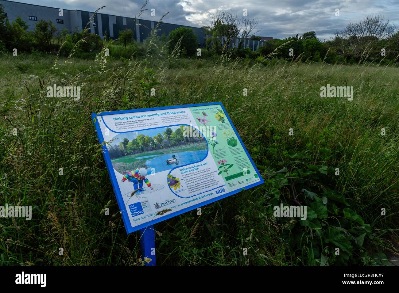 Anschlagtafeln am Rande einer neuen Wildblumenwiese, die auf einem Hochwasserflugzeug in Baildon, Yorkshire, gepflanzt wurden. Die Wiese wurde auf industriellem Ödland gesät. Stockfoto