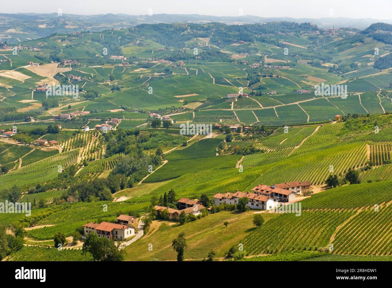 Ich Bin Langhe. Provinz Cuneo. Landschaft Von La Morra Langhe. Piemont. Italien Stockfoto