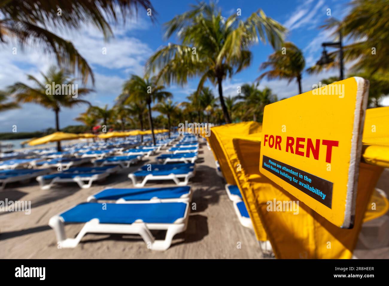 Liegestühle und Palmen am Strand von Harvest Caye - private Insel im Besitz der Norwegian Cruise Line in Belize Stockfoto