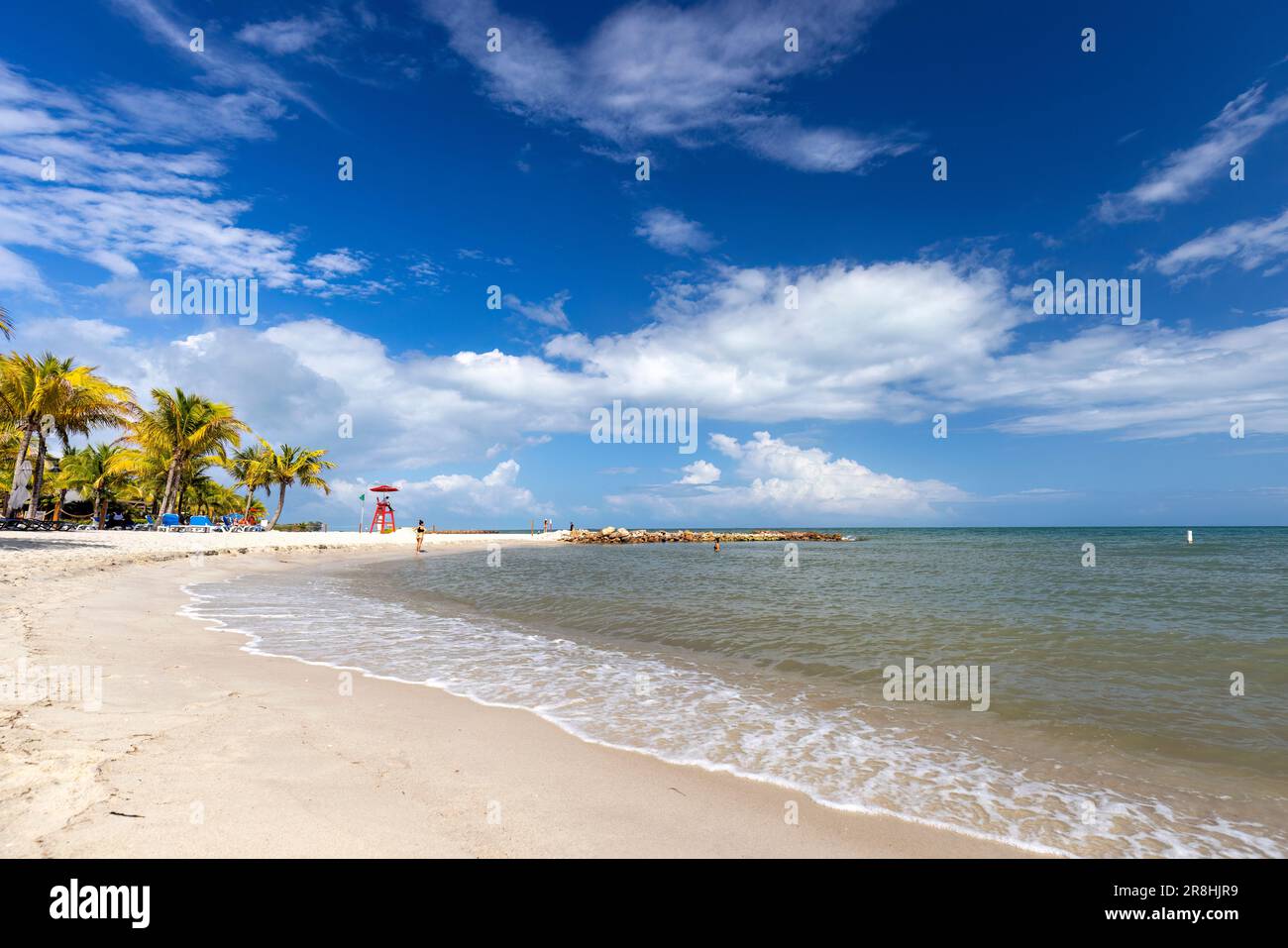 Wunderschöner weißer Sandstrand auf Harvest Caye - private Insel im Besitz von Norwegian Cruise Line in Belize Stockfoto