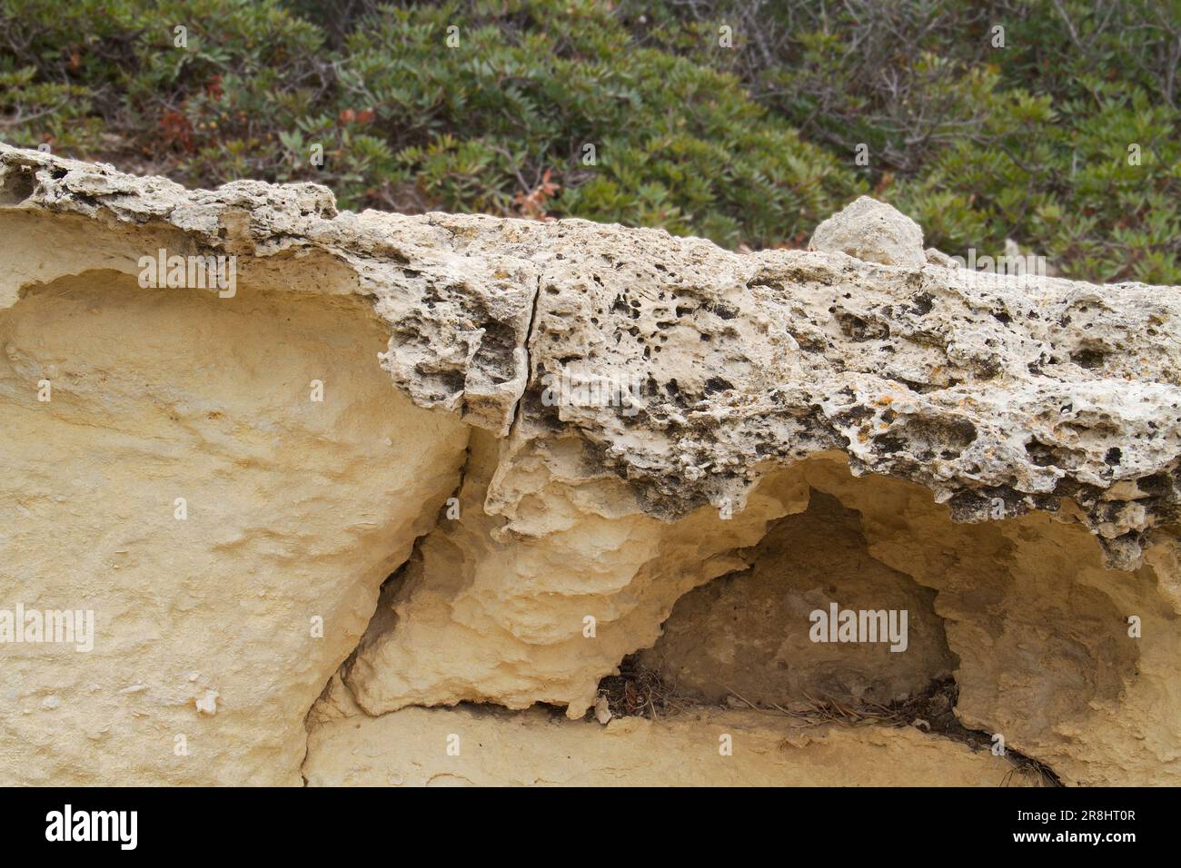 Wabenbewitterung von sandigem Kalkstein nahe der Küste Kretas, Griechenland, bildet eine dünne Schicht über Kalkstein Stockfoto