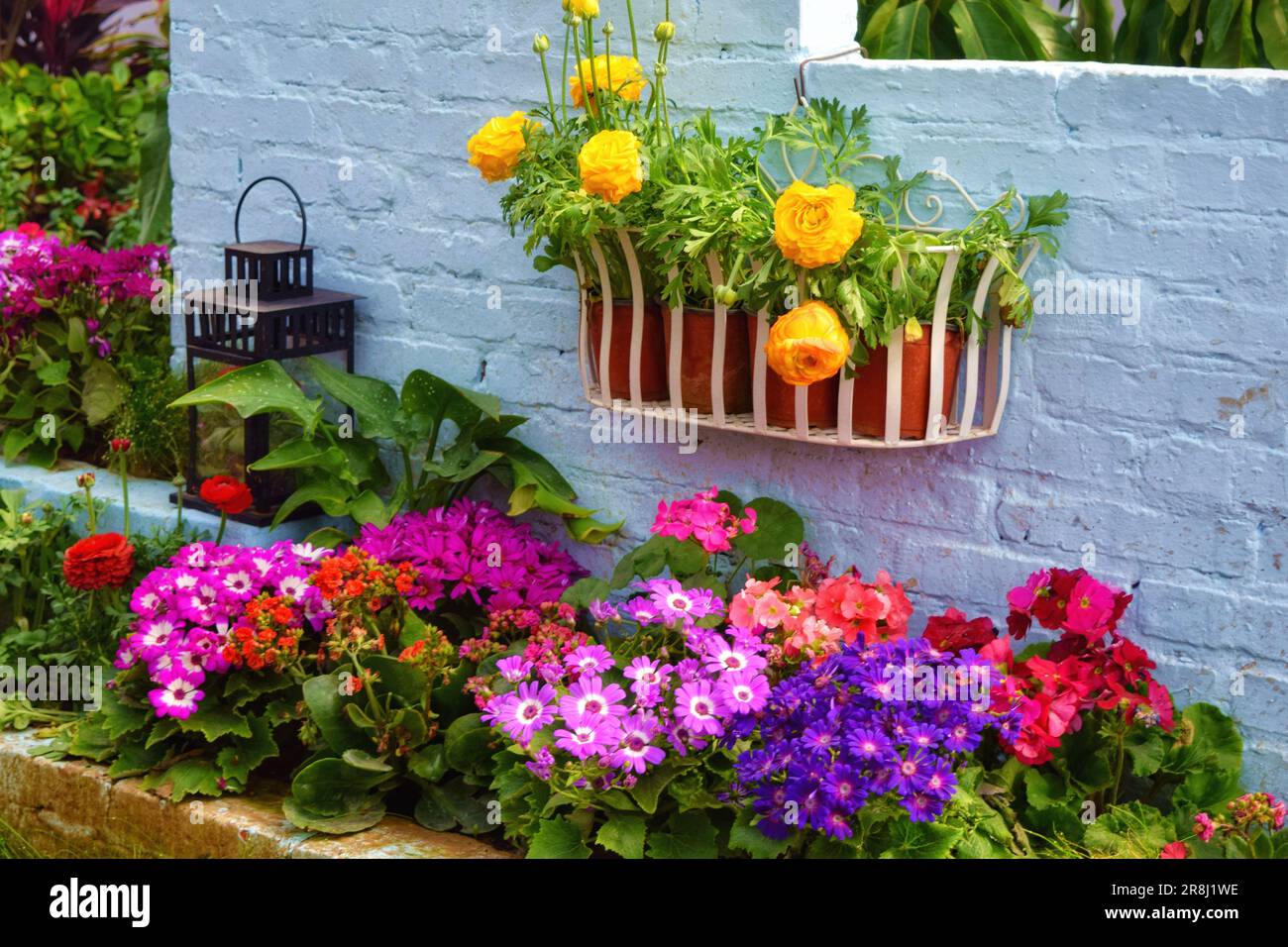 Blühender Garten mit vielfältigen Blumen, lebendigen Farben und fesselnden Formen unter bezaubernder Schattenbeleuchtung Stockfoto