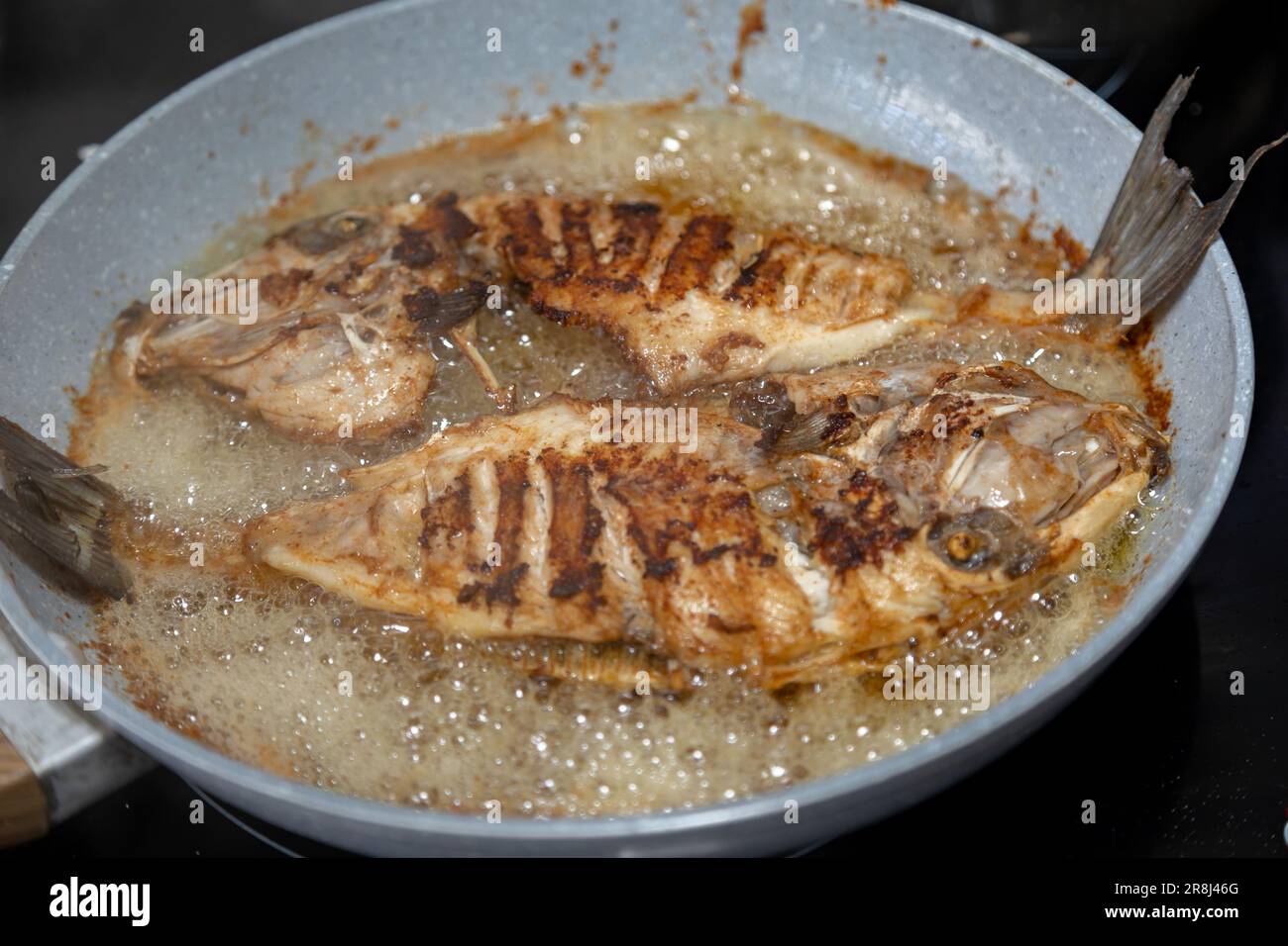 Sauberer und gewürzter Peroá-Fisch (Balistes capriscus). Typischer Fisch von der Küste von Espírito Santo (Capixaba) Brasilien, bekannt als „Peixe porquinho“. Stockfoto