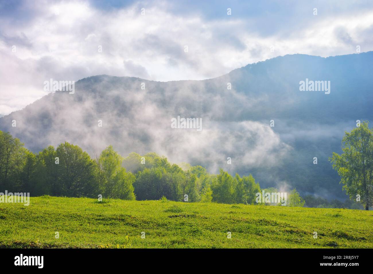 Grünlandschaft der ukrainischen Berge. Blick in das ferne Tal. Nebiger Morgen Stockfoto