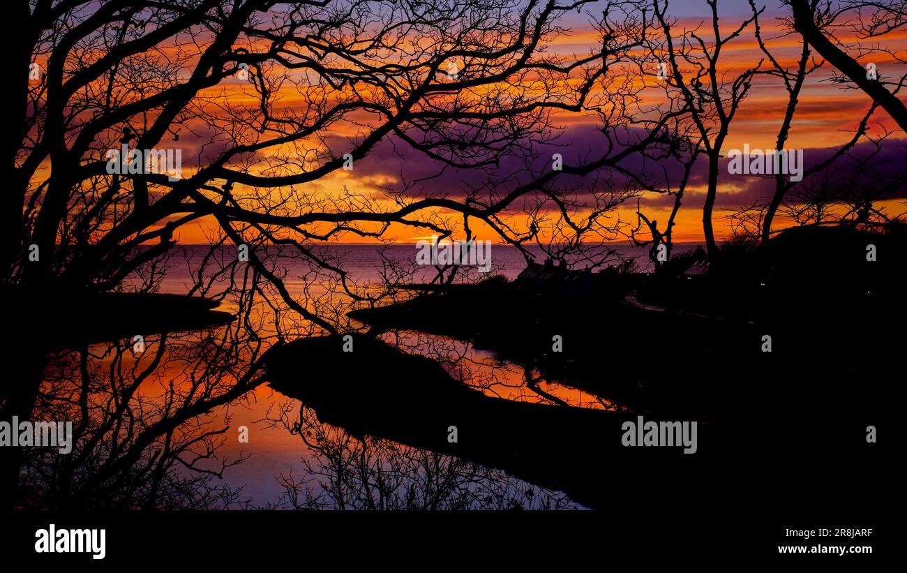 Sonnenaufgang über der Nordsee durch ein Gitter aus Baumzweigen mit Blick auf den Hafen von Brora und die Flussmündung der Brora Stockfoto