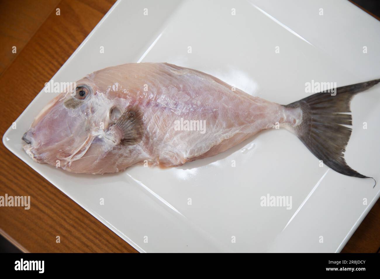 Sauberer und gewürzter Peroá-Fisch (Balistes capriscus). Typischer Fisch von der Küste von Espírito Santo (Capixaba) Brasilien, bekannt als „Peixe porquinho“. Stockfoto