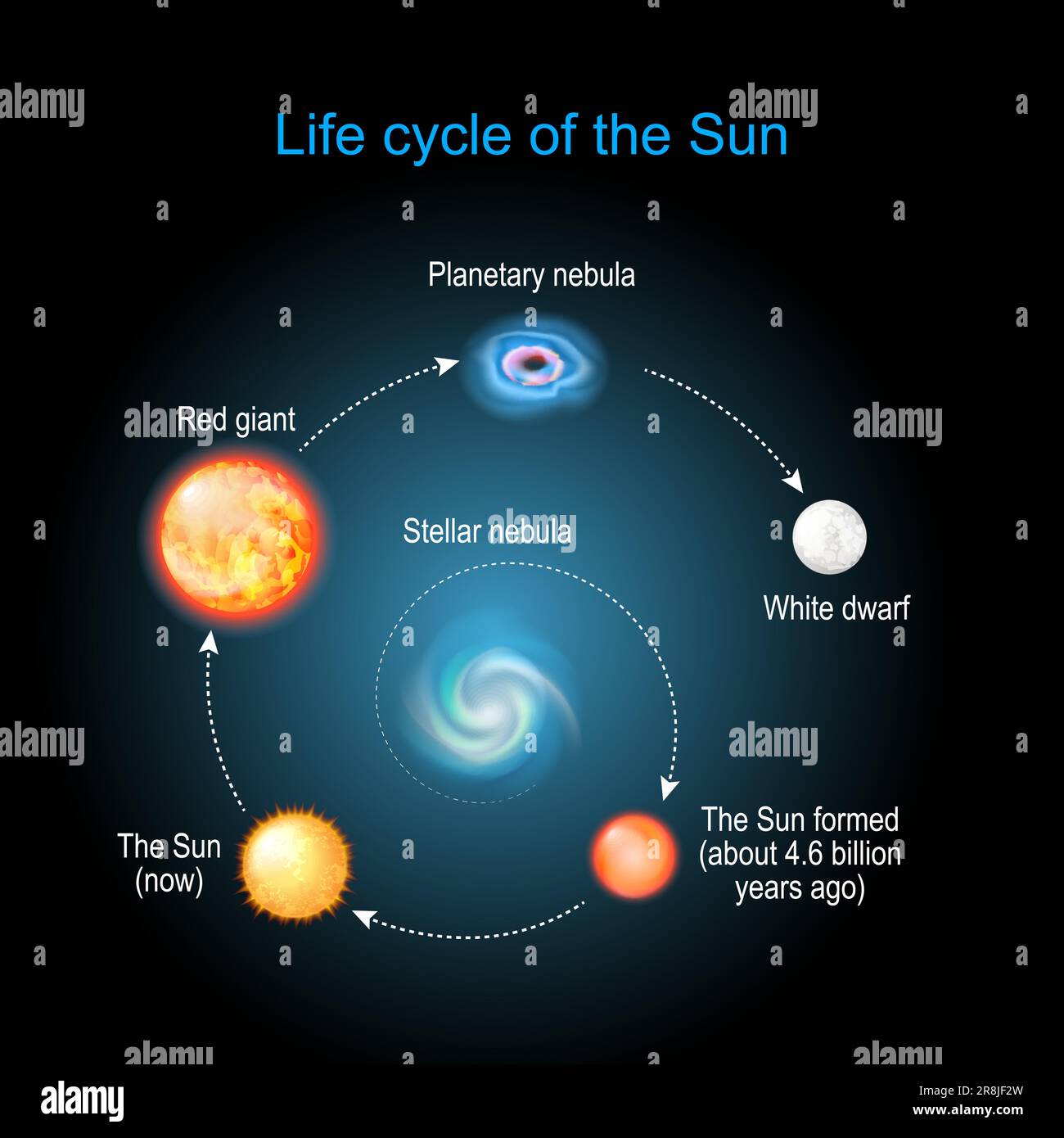Lebenszyklus der Sonne von Stellarnebel zu Rotriesen, Planetennebel und Weißen Zwergen. Eine brillante Evolution. Infografik. Vektordiagramm Stock Vektor