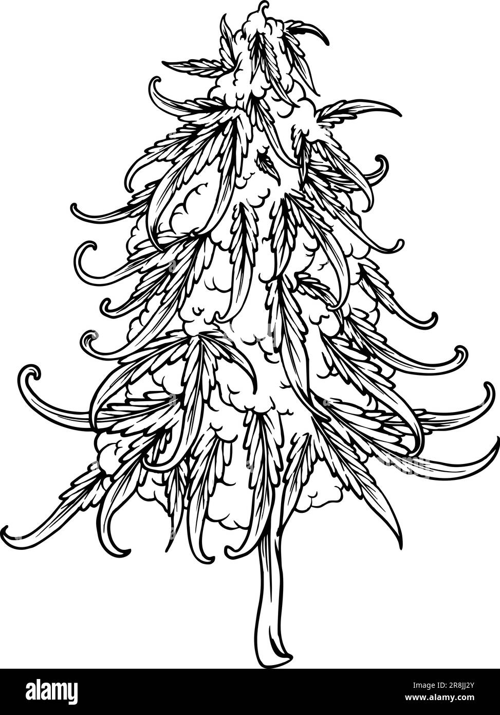 Vintage Bliss Cannabis sativa botanische Blumensilhouette Vektorabbildungen für Ihre Arbeit Logo, Merchandise-T-Shirt, Aufkleber und Etikettendesigns, Po Stock Vektor