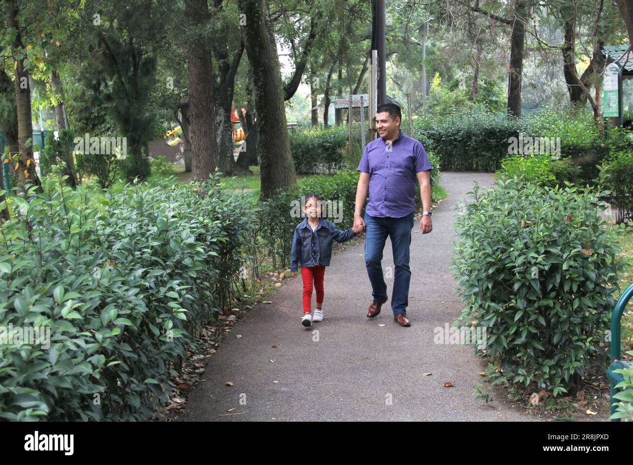 Ein geschiedener alleinerziehender Vater und eine braunhaarige, 4-jährige Latino-Tochter gehen gemeinsam im Park spazieren, verbringen Zeit und freuen sich auf eine Zukunft Stockfoto