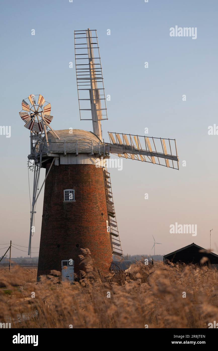 Pferdewindpumpe in der Abenddämmerung im Februar, Norfolk, England, Großbritannien Stockfoto