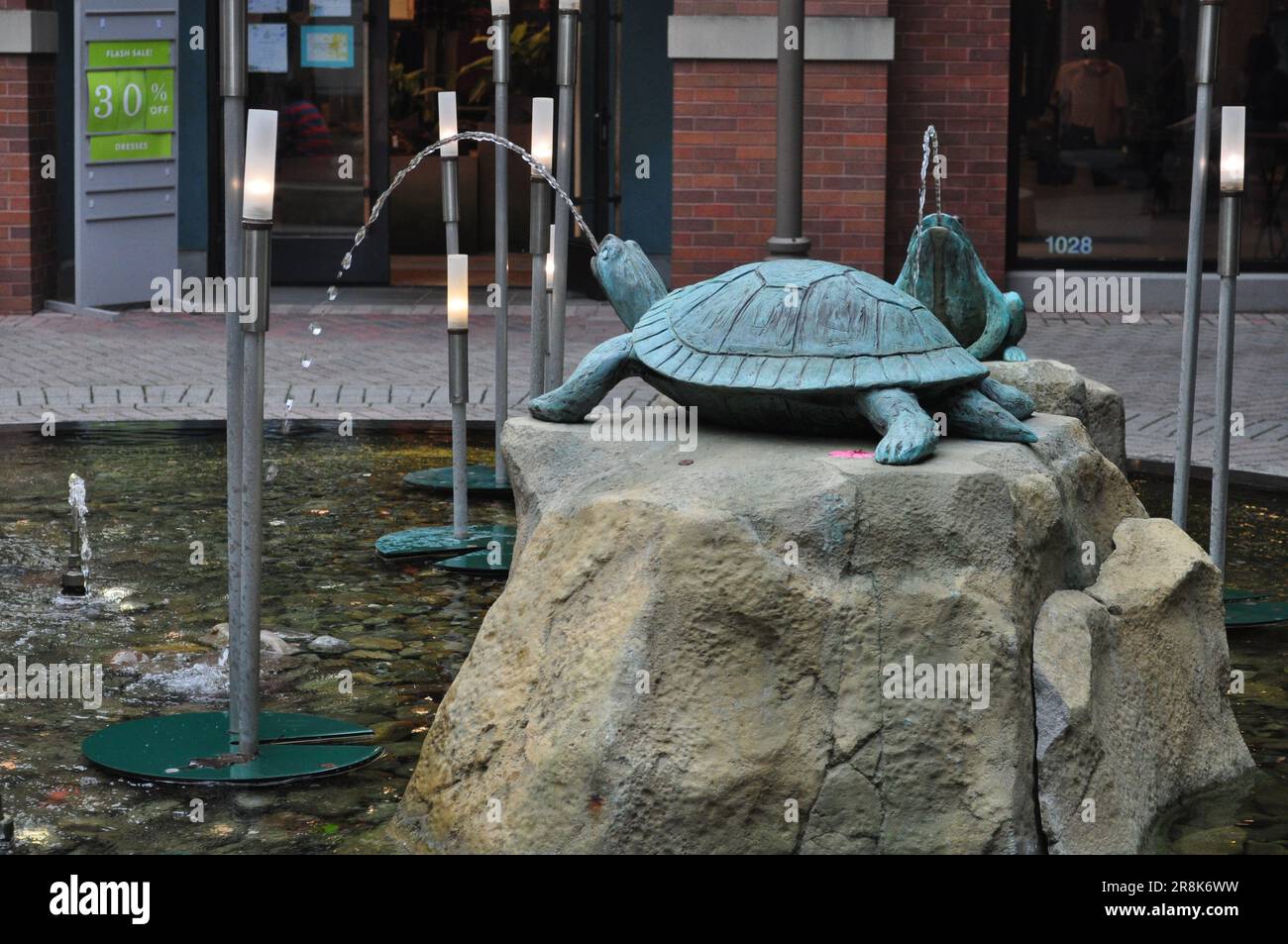 Ein fesselnder Schildkrötenbrunnen: Die Essenz der Harmonie der Natur Stockfoto
