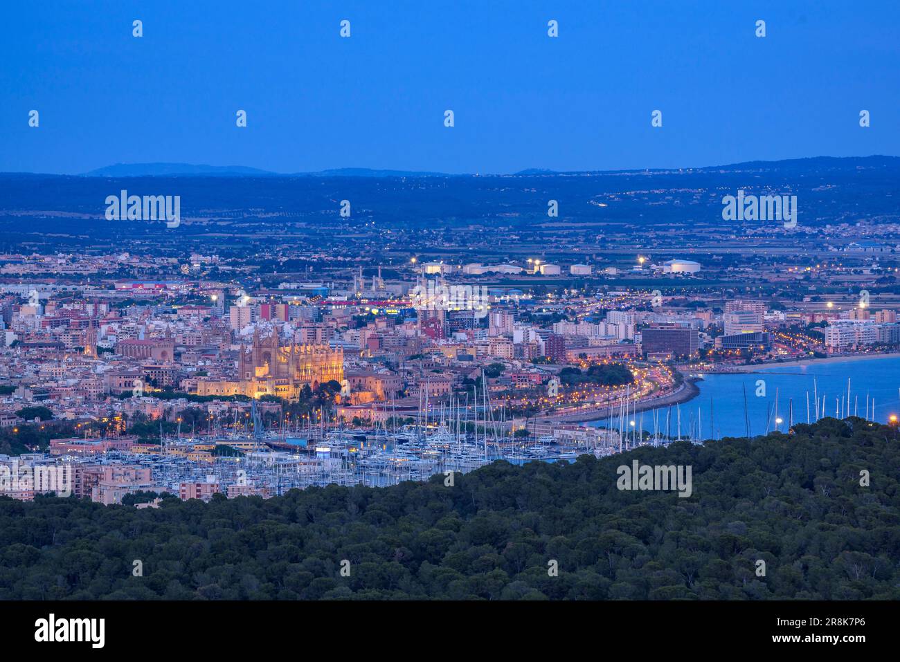 Stadt Palma de Mallorca in der Abenddämmerung und zur blauen Stunde. Vom Aussichtspunkt Na Burguesa (Mallorca, Balearen, Spanien) aus gesehen ESP: Ciudad de Palma Stockfoto