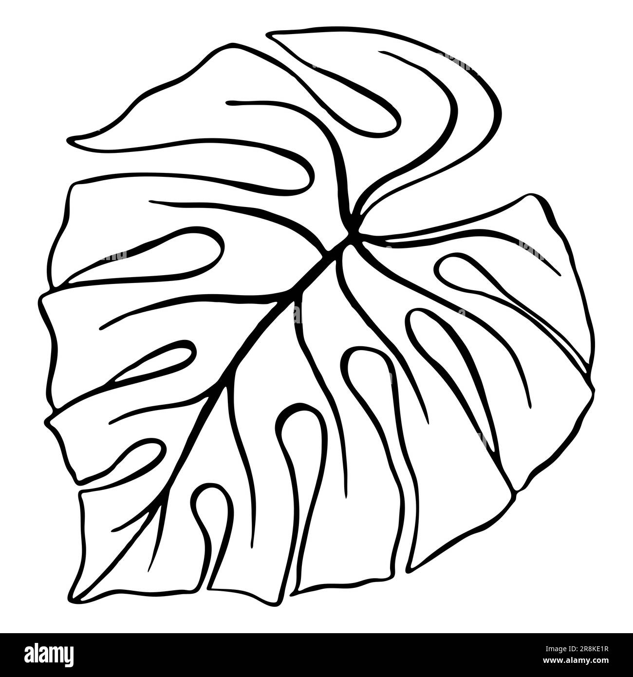 Monstera Blatt tropische Pflanze Strichart handgezeichnete Skizze  isolierter Vektor Stock-Vektorgrafik - Alamy
