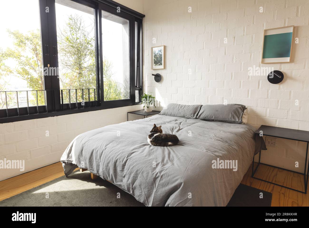 Blick auf die helle, moderne Innenausstattung des Schlafzimmers mit Katze auf dem Doppelbett und großen Fenstern Stockfoto