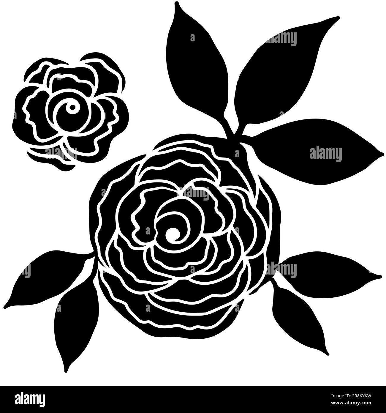 Rosenblumenkopf. Blumige botanische Blume. Handgezeichnete Tintenkunst. Isoliertes Rosenelement auf weiß isoliert. Stock Vektor
