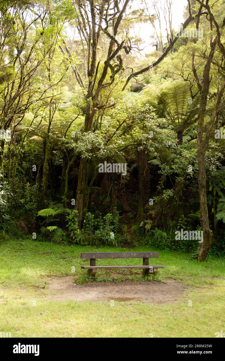 Einsame Bank in der Natur Stockfoto
