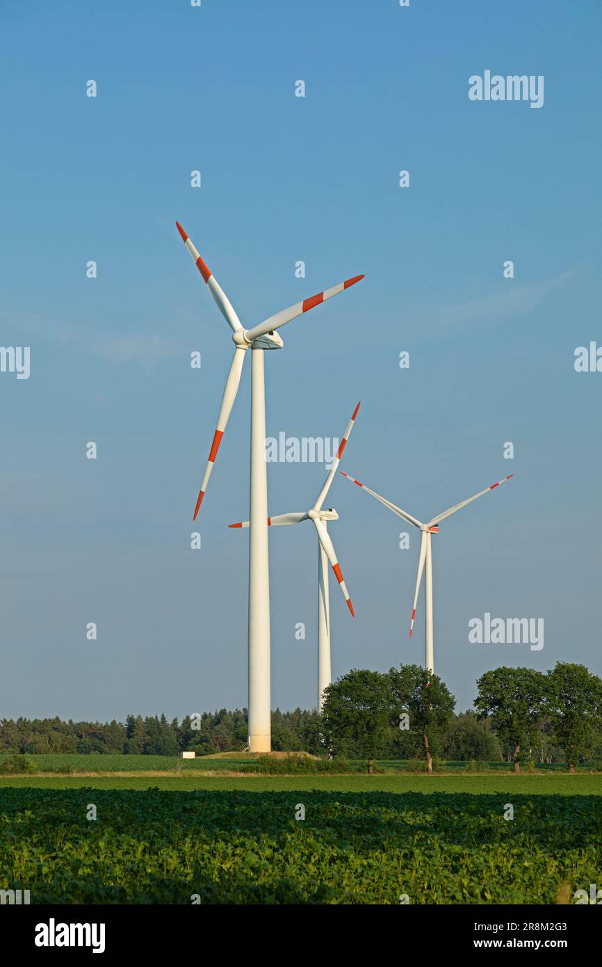 Windkraftwerke, Feld, Bäume, Südergellersen, Niedersachsen, Deutschland Stockfoto