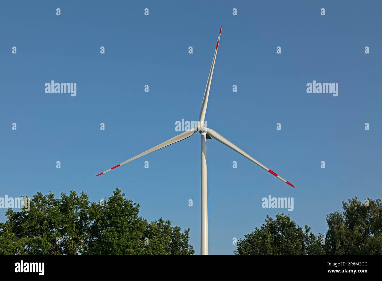 Windkraftwerk, Trees, Südergellersen, Niedersachsen, Deutschland Stockfoto
